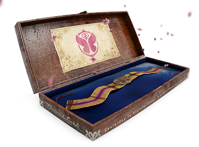 Tomorrowland Treasure Case