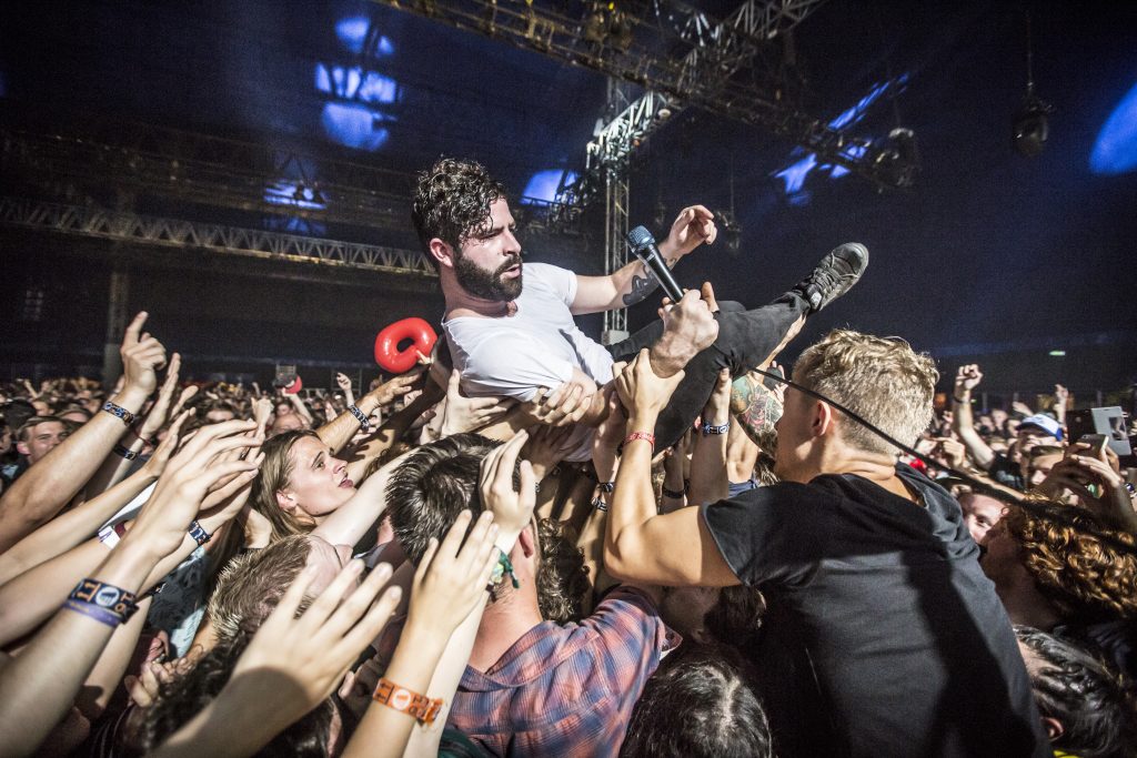 Foals