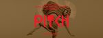 16 nieuwe namen voor Pitch