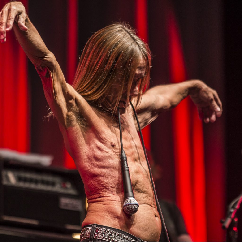 Down The Rabbit Hole 2015