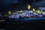 Toen De Staat een bosrave gaf op Down The Rabbit Hole 2015