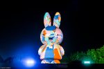 [STREAM] Volg Down The Rabbit Hole via de livestream