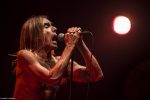 Eerste festivalshow voor Iggy Pop in 2020