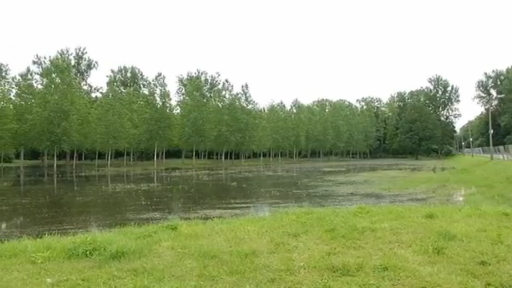 Rock Werchter Weides