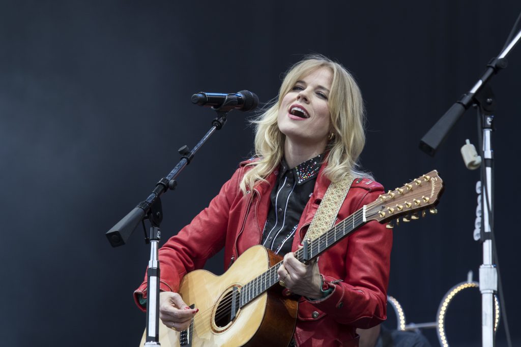 The Common Linnets Ilse de Lange