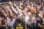 7 soorten festivalgangers die je altijd tegenkomt