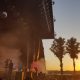 MGMT