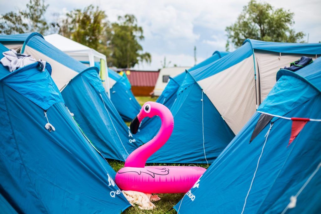 camping flamingo
