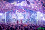 Hidden Gem: Polo & Pan at Sziget 2019