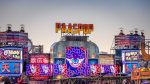 Jouw route door het Paaspop 2024 blokkenschema oerwoud