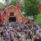 Dauwpop 2019