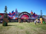 Belgische festivals reageren op verbod door coronavirus
