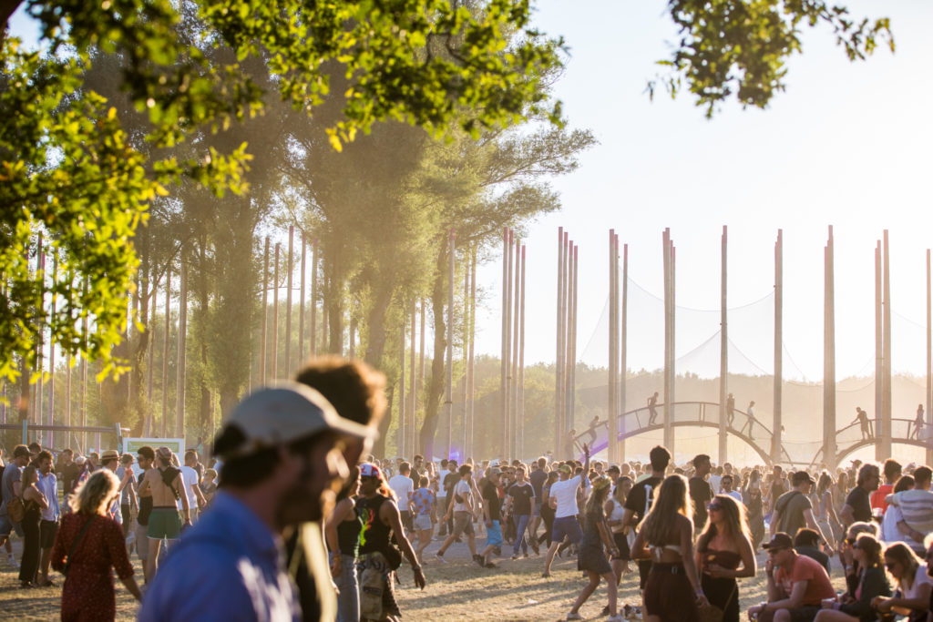 Down the rabbit hole 2022 programma