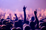 8 festivalanthems van Nederlandse bodem