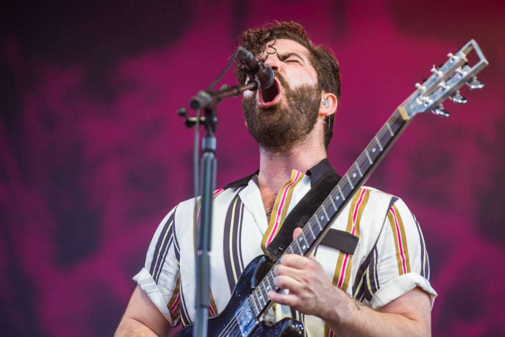 Foals