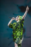 Kijken: Lowlands 2023 livestream met o.a. Billie Eilish, Nothing but Thieves en Underworld