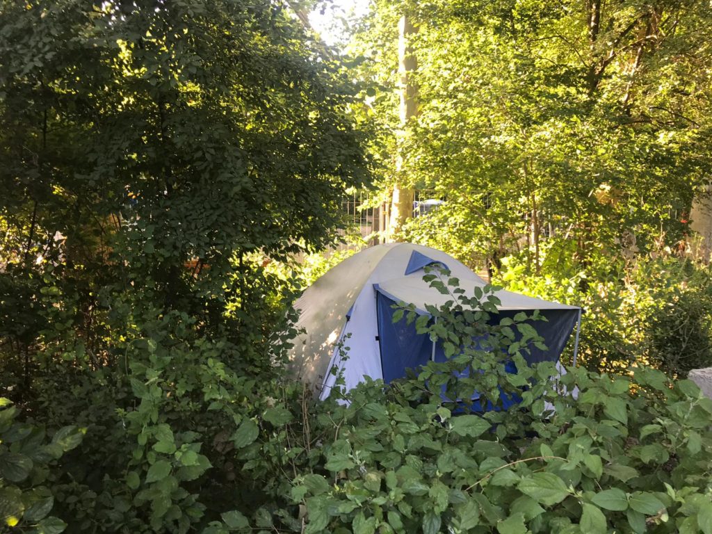 Sziget 2019