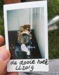 De Dooie Hoek op Lowlands 2019: proefliggen tussen zes planken