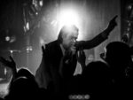 Nick Cave & The Bad Seeds: een (her)ontdekking