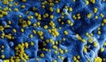 Vrijwel alle concerten en festivals tot 6 april 2020 afgelast door coronavirus