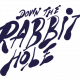 Down The Rabbit Hole 2015