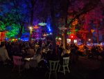 Misty Fields ‘Het Bos In’: Kleiner, maar onverminderd genieten