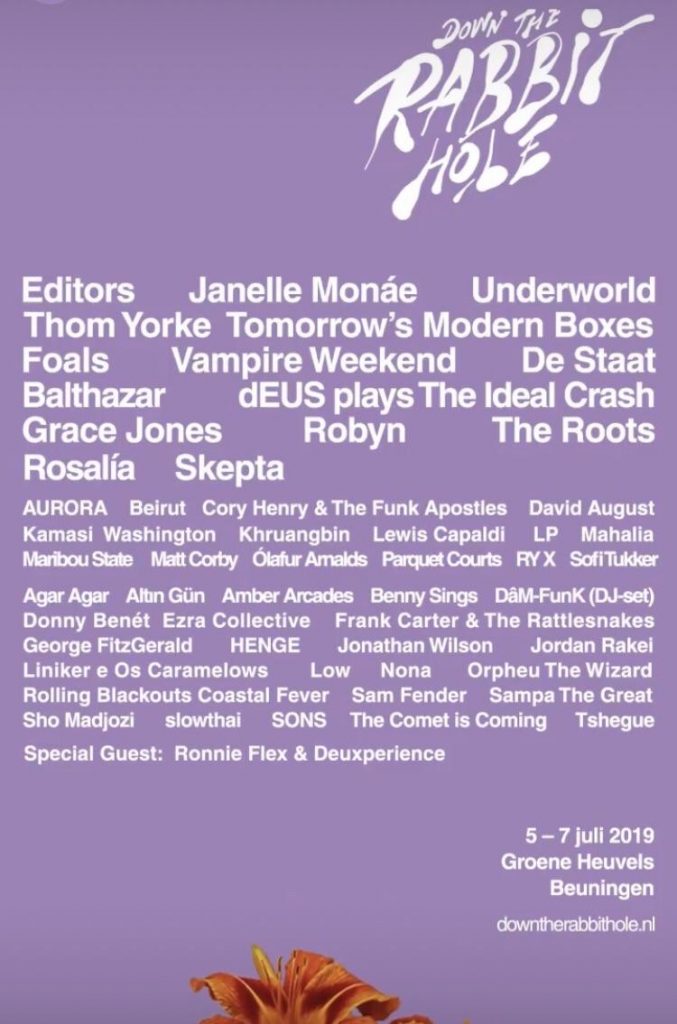 Down The Rabbit Hole 2019 Poster