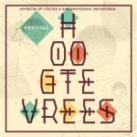 Hoogtevrees Festival