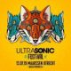 Ultrasonic Winter Festival 2019