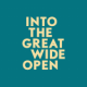 Into The Great Wide Open 2015