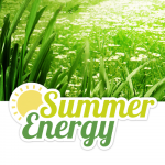 Summer Energy