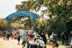 Alleen naar een festival? Tips voor een onvergetelijke ervaring!