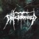 Phlebotomized