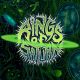 Rings Of Saturn