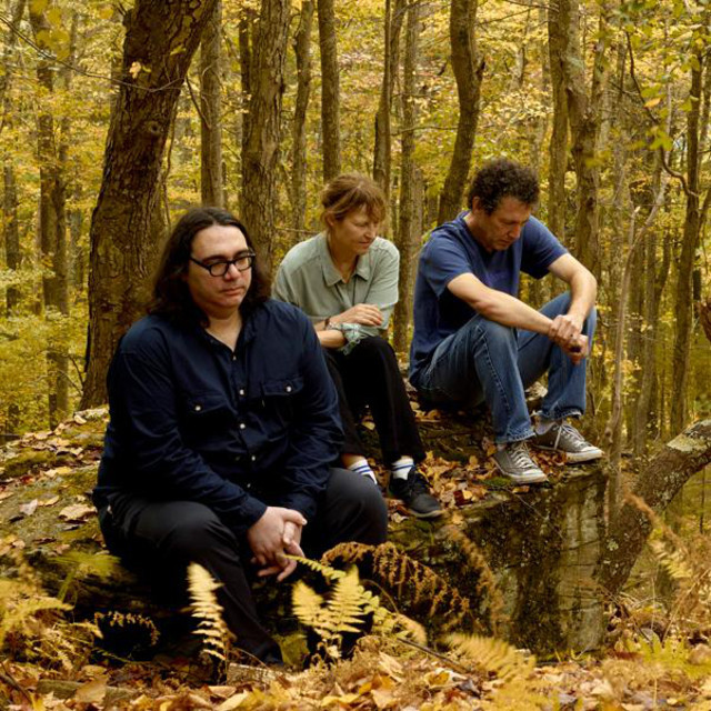 Yo la tengo