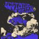 Ecstatic Vision