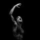 Taake