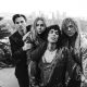The Struts