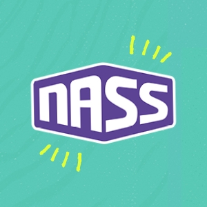 Nass Festival