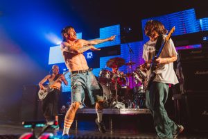 Billie Eilish, Red Hot Chili Peppers en Katy Perry treden op bij benefiet voor slachtoffers branden LA