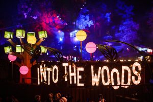 Into The Woods 2024 maakt line-up bekend