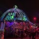 Into The Woods 2022 ADE Amsterdam Dance Event
