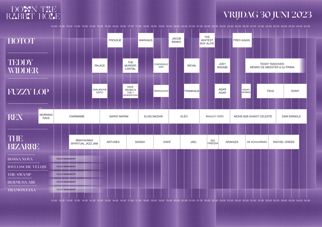DTRH23 down the rabbit hole 2023 Blokkenschema vrijdag