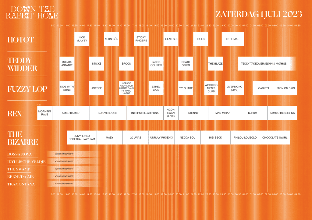 DTRH23 down the rabbit hole 2023 Blokkenschema zaterdag