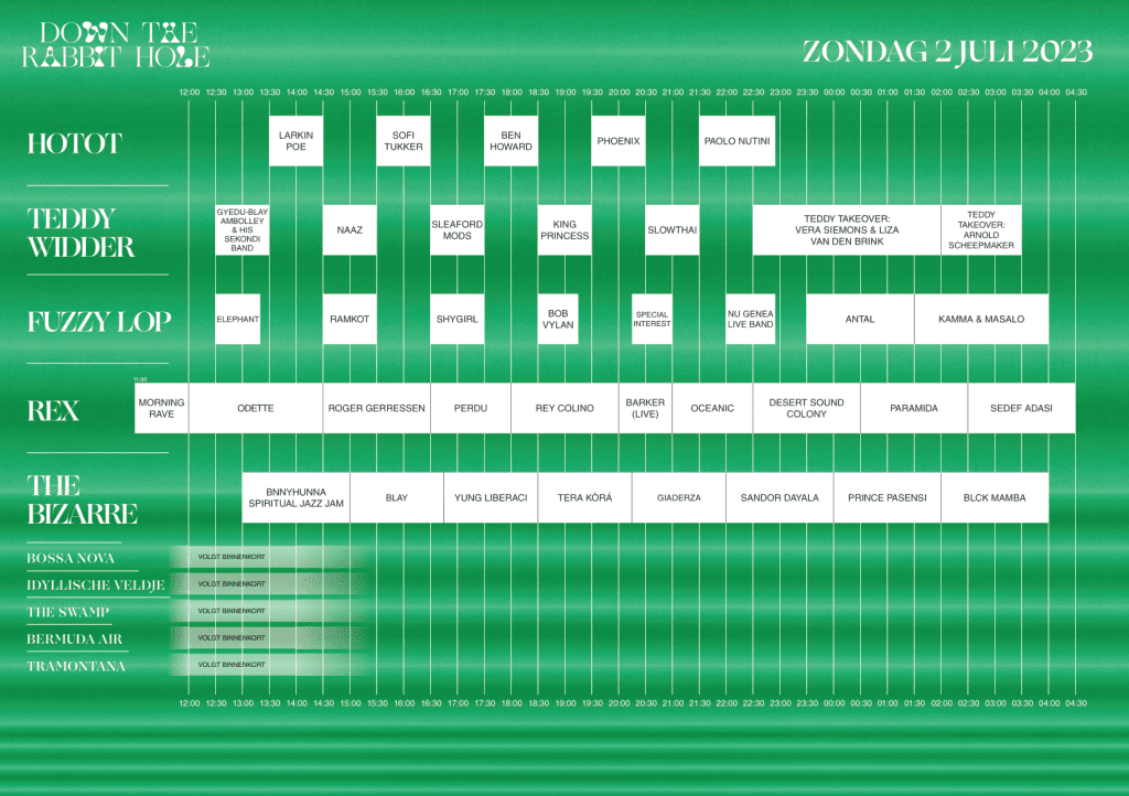DTRH23 down the rabbit hole 2023 Blokkenschema zondag