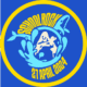 Schoolrock Festival 2024
