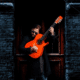 Al Di Meola