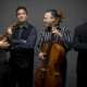 Turtle Island String Quartet