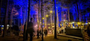 Into The Great Wide Open 2024 wint Festival Award voor ‘Beste Terrein’