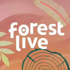 Forest Live